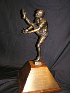 Ray Guy Award